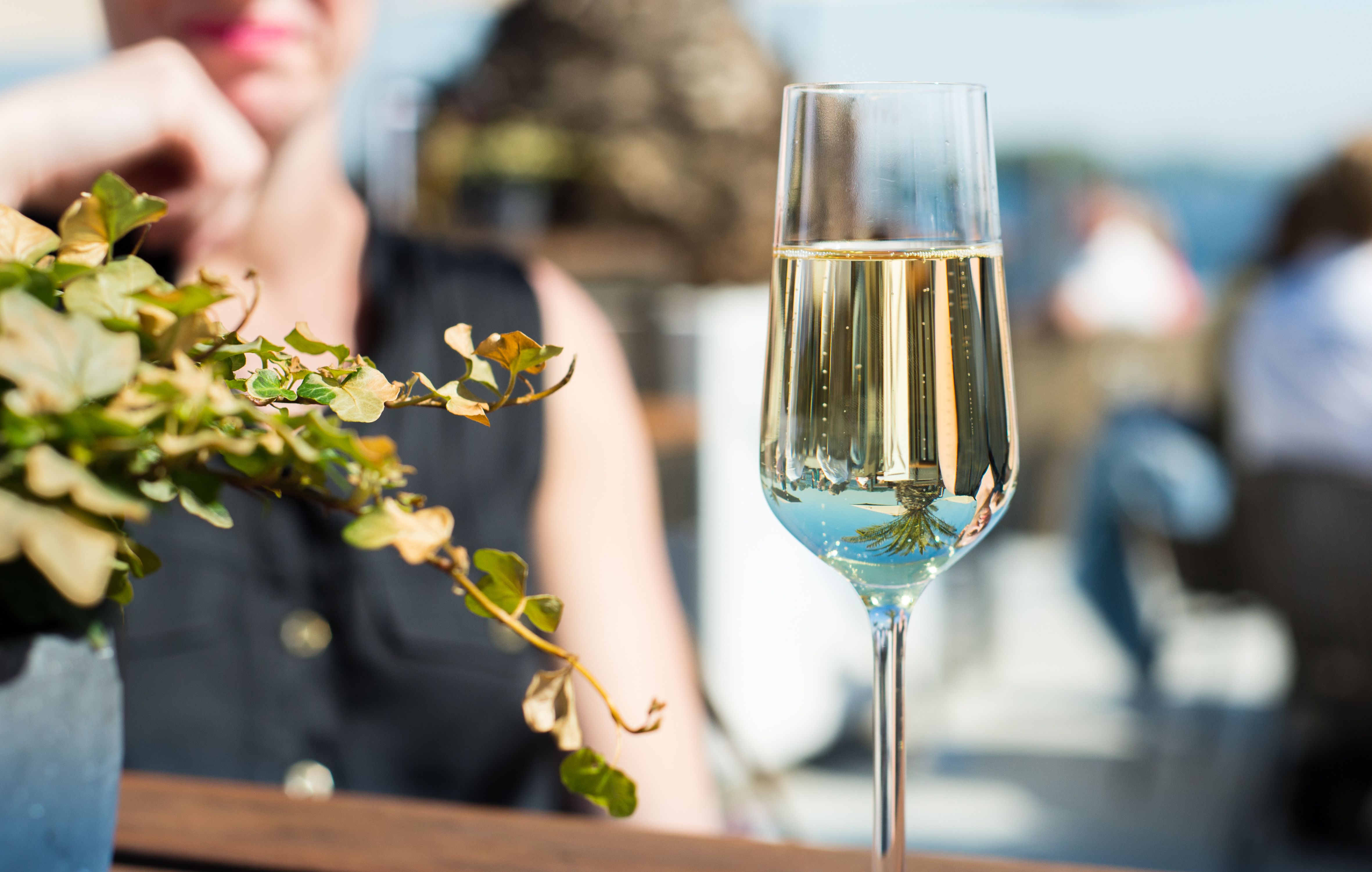 CELEBRATE WITH CHAMPAGNE